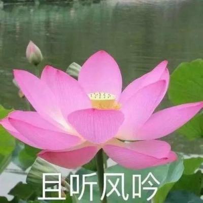 【境内疫情观察】云南新增9例本土病例（7月11日）